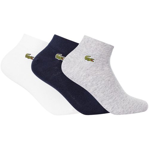 Socquettes Lot de 3 chaussettes basses - Lacoste - Modalova