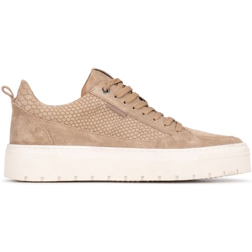 Baskets basses Baskets Ivar - Poelman - Modalova