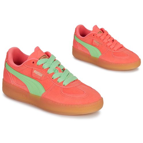 Baskets basses Palermo Moda Xtra Gum Wns - Puma - Modalova