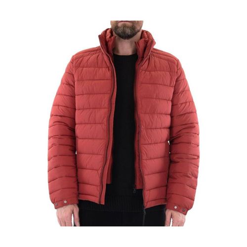 Doudounes Superdry Studios - Superdry - Modalova