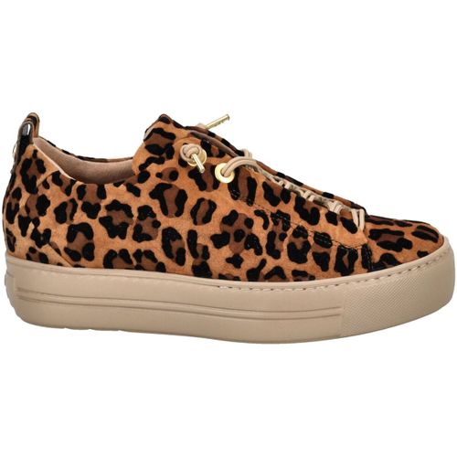 Baskets basses Paul Green Sneaker - Paul Green - Modalova