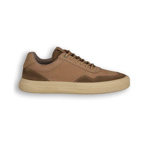 Baskets basses Frau Nabuck Fancy - Frau - Modalova