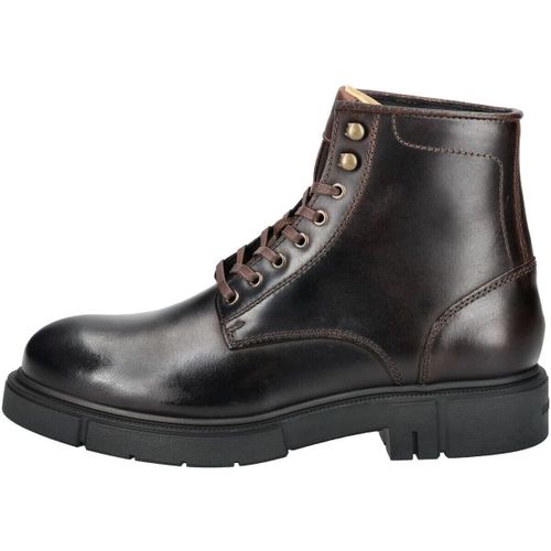 Boots sneaky steve Bottines - sneaky steve - Modalova