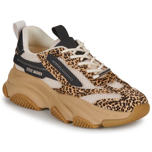 Baskets basses POSSESSIONL - Steve Madden - Modalova