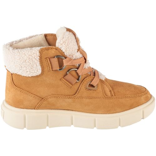 Boots Sorel Explorer III NW Lace WP - Sorel - Modalova