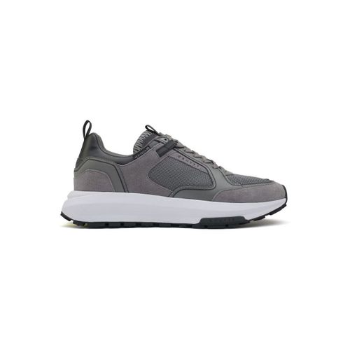 Baskets Cruyff Rayado Formateurs - Cruyff - Modalova