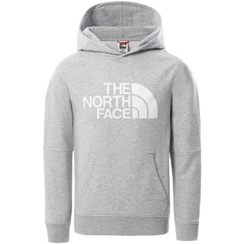 Sweatshirts à capuche - Sweat capuche - gris - The North Face - Modalova