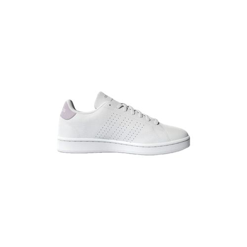 Baskets adidas Advantage - adidas - Modalova