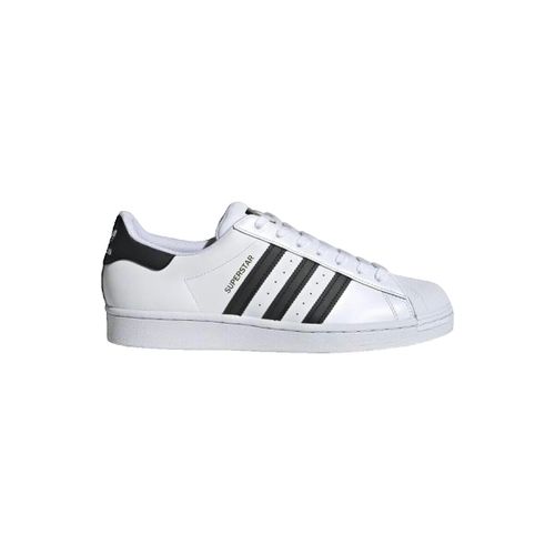 Baskets basses Baskets Superstar cuir - adidas - Modalova