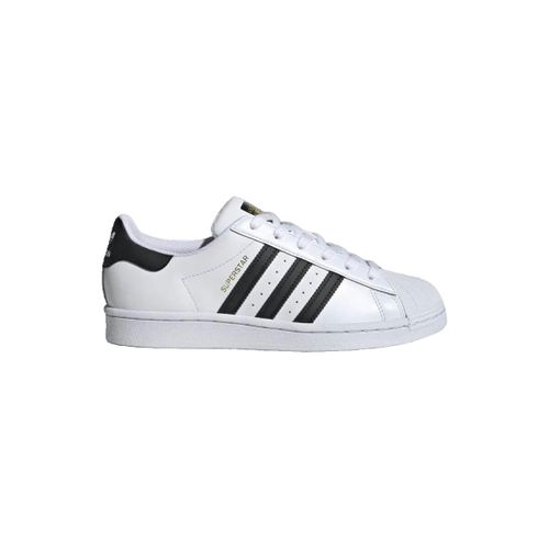 Baskets adidas Superstar - adidas - Modalova