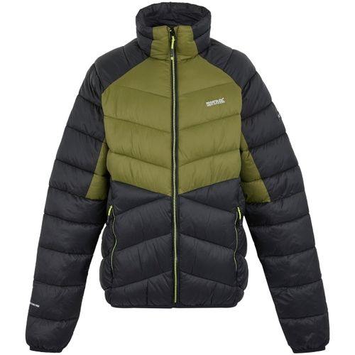 Blouson Regatta Dalent - Regatta - Modalova