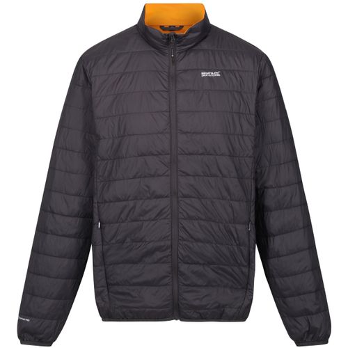 Blouson Regatta Hillpack - Regatta - Modalova