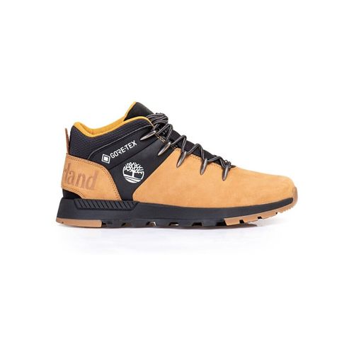 Baskets basses Sprint Trekker Gtx - Timberland - Modalova