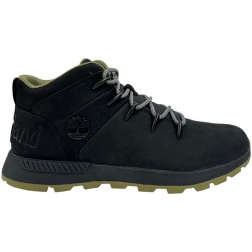 Baskets montantes TB0A6DQD - Timberland - Modalova