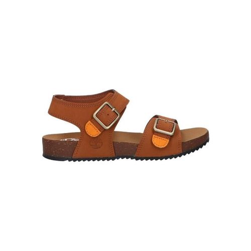 Sandales plates A427Q CASTLE ISLAND - Timberland - Modalova