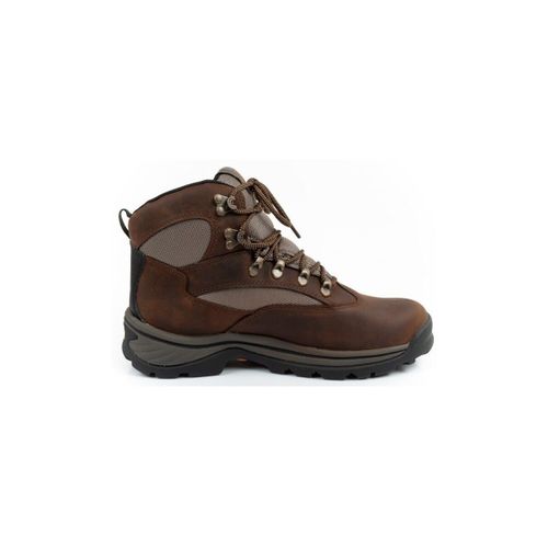 Chaussures Timberland Chocorua - Timberland - Modalova
