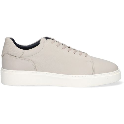 Baskets Mcgregor Bronx Taupe Grey - Mcgregor - Modalova