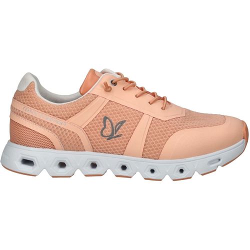 Baskets basses Caprice Sneaker - Caprice - Modalova