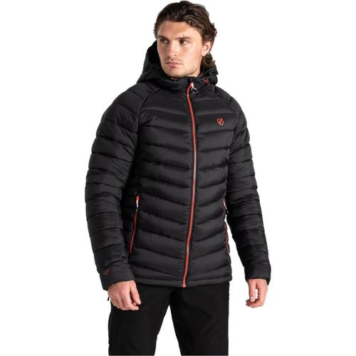 Blouson Dare 2b Torrek Baffled Jkt - Dare 2b - Modalova