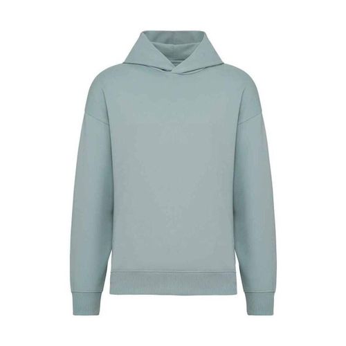 Sweatshirts à capuche NS408 - Native Spirit - Modalova