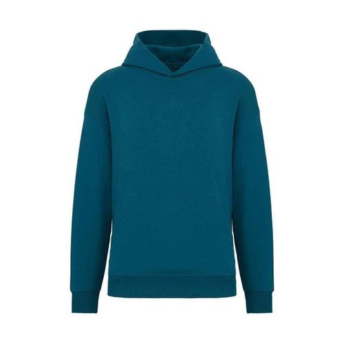 Sweatshirts à capuche NS408 - Native Spirit - Modalova