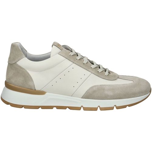 Baskets basses NeroGiardini Sneaker - NeroGiardini - Modalova