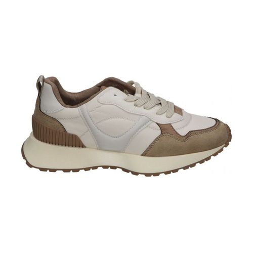 Chaussures Skydiva 112168 - Skydiva - Modalova