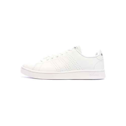 Baskets basses Advantage Base - adidas - Modalova