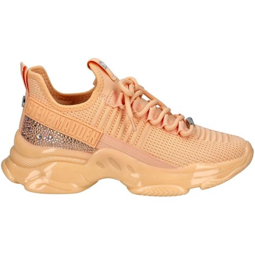 Baskets basses Steve Madden Sneaker - Steve Madden - Modalova