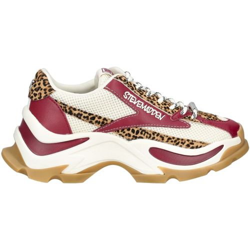 Baskets basses Steve Madden Sneaker - Steve Madden - Modalova