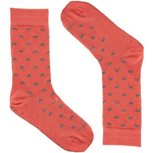 Chaussettes Naive SKY31C - Naive - Modalova