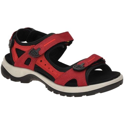 Chaussures Ecco - Ecco - Modalova