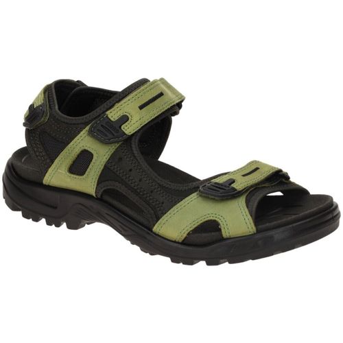 Chaussures Ecco - Ecco - Modalova