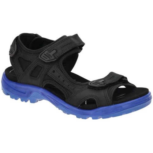 Chaussures Ecco - Ecco - Modalova
