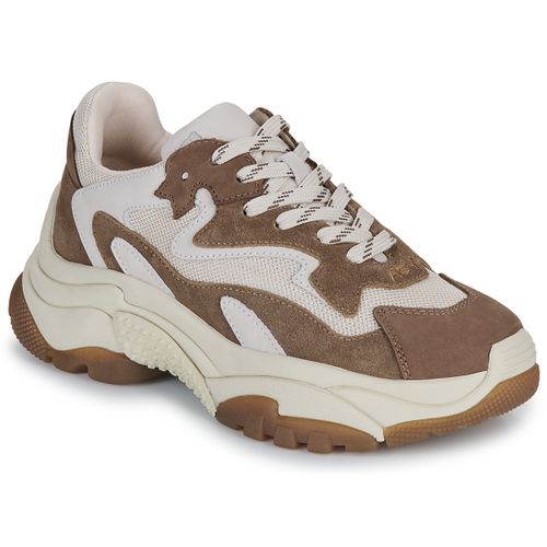 Baskets basses Ash ADDICT - Ash - Modalova