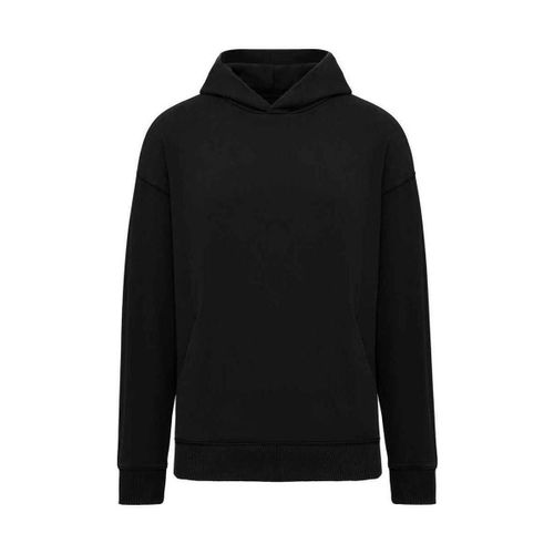 Sweatshirts à capuche NS448 - Native Spirit - Modalova