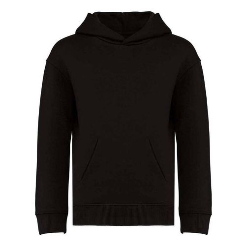 Sweatshirts à capuche NS438 - Native Spirit - Modalova