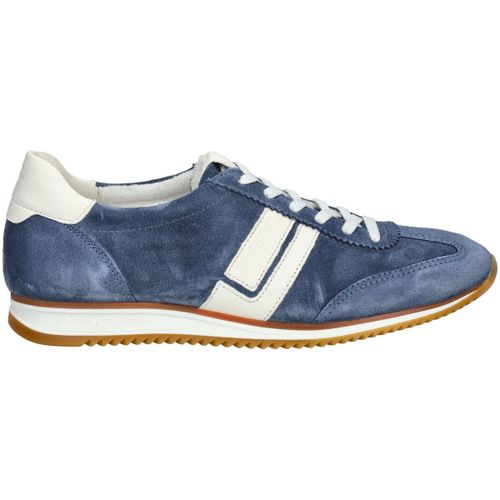 Baskets basses Paul Green Sneaker - Paul Green - Modalova