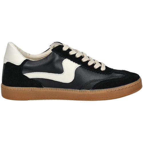Baskets basses Dolce & Vita Sneaker - Dolce & Vita - Modalova