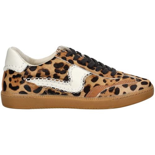 Baskets basses Dolce & Vita Sneaker - Dolce & Vita - Modalova