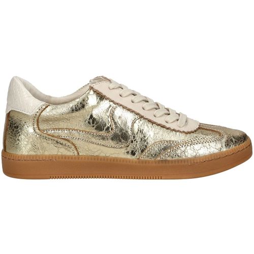 Baskets basses Dolce & Vita Sneaker - Dolce & Vita - Modalova