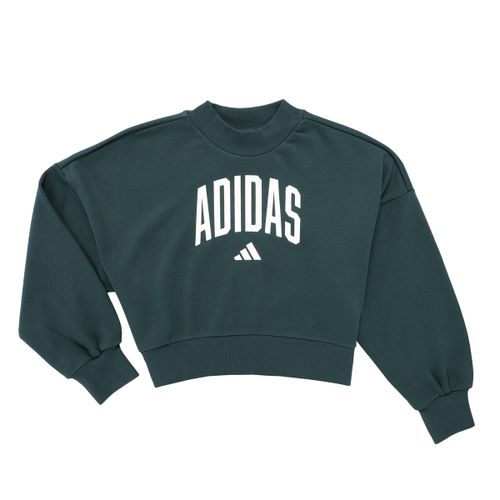 Sweatshirts Seasonals Essentials Collegiate Typography Crewneck Sweatshirt K - adidas - Modalova