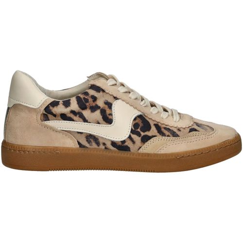 Baskets basses Dolce & Vita Sneaker - Dolce & Vita - Modalova