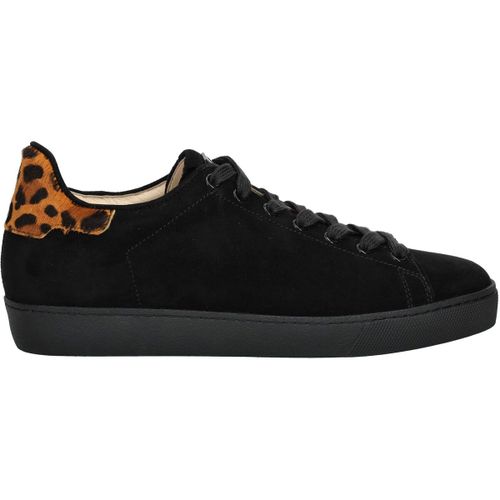 Baskets basses Högl Sneaker - Högl - Modalova