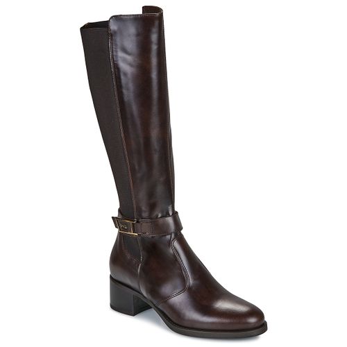 Bottes à talon I514644D-300 - NeroGiardini - Modalova