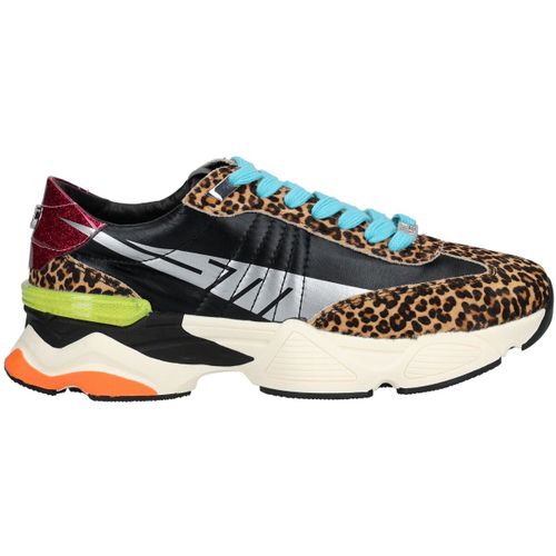 Baskets basses Steve Madden Sneaker - Steve Madden - Modalova