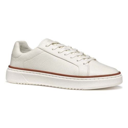 Baskets basses zackerty leisure trainers - Geox - Modalova