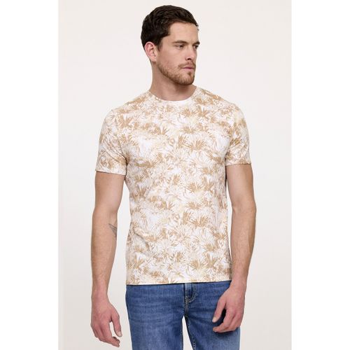 T-shirt Tee Shirt ACTUS Camel - Lee Cooper - Modalova