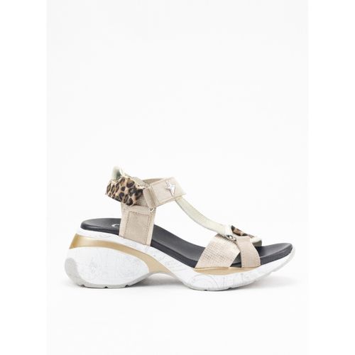 Sandales compensées Cetti 37441 - Cetti - Modalova