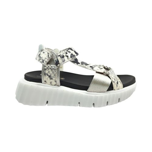Sandales compensées SANDALE 1316 CUIR ARGENT - Cetti - Modalova